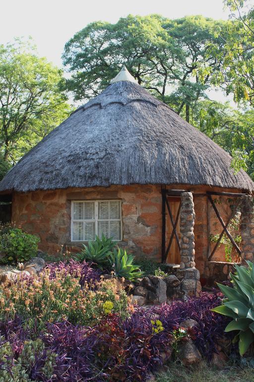 Limerick cottages Bulawayo Exteriör bild